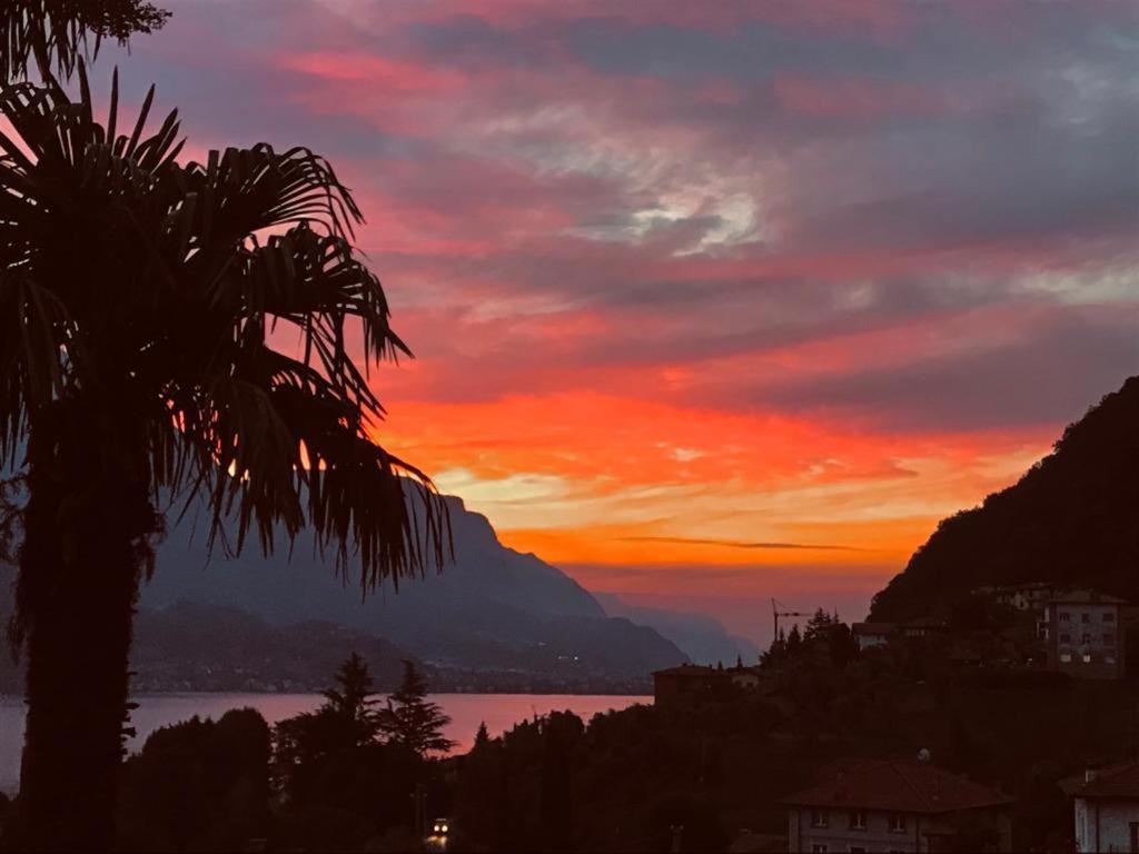 Villa Mojana Bellagio Oliveto Lario 外观 照片